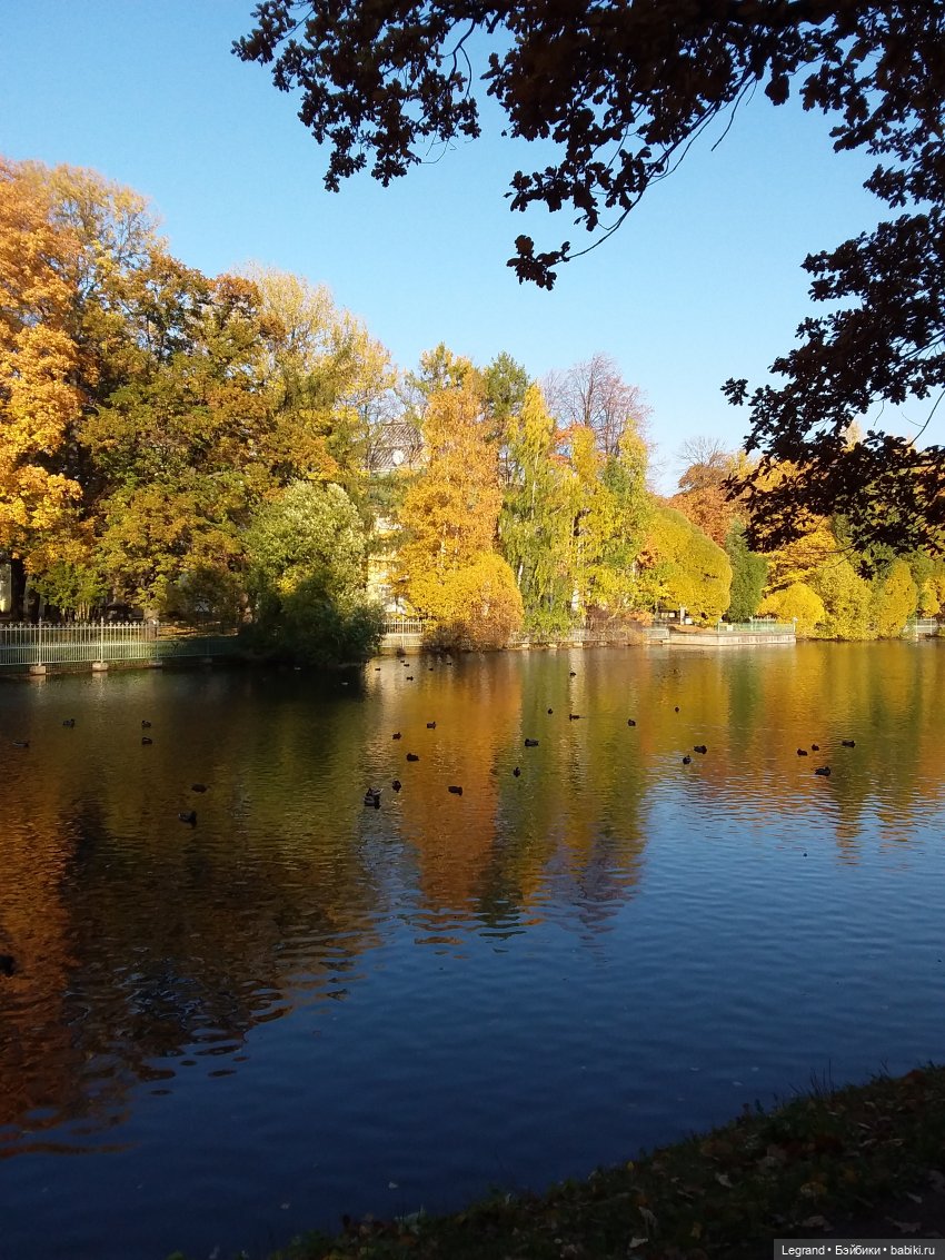 Золотая осень в Петербурге. Таврический сад