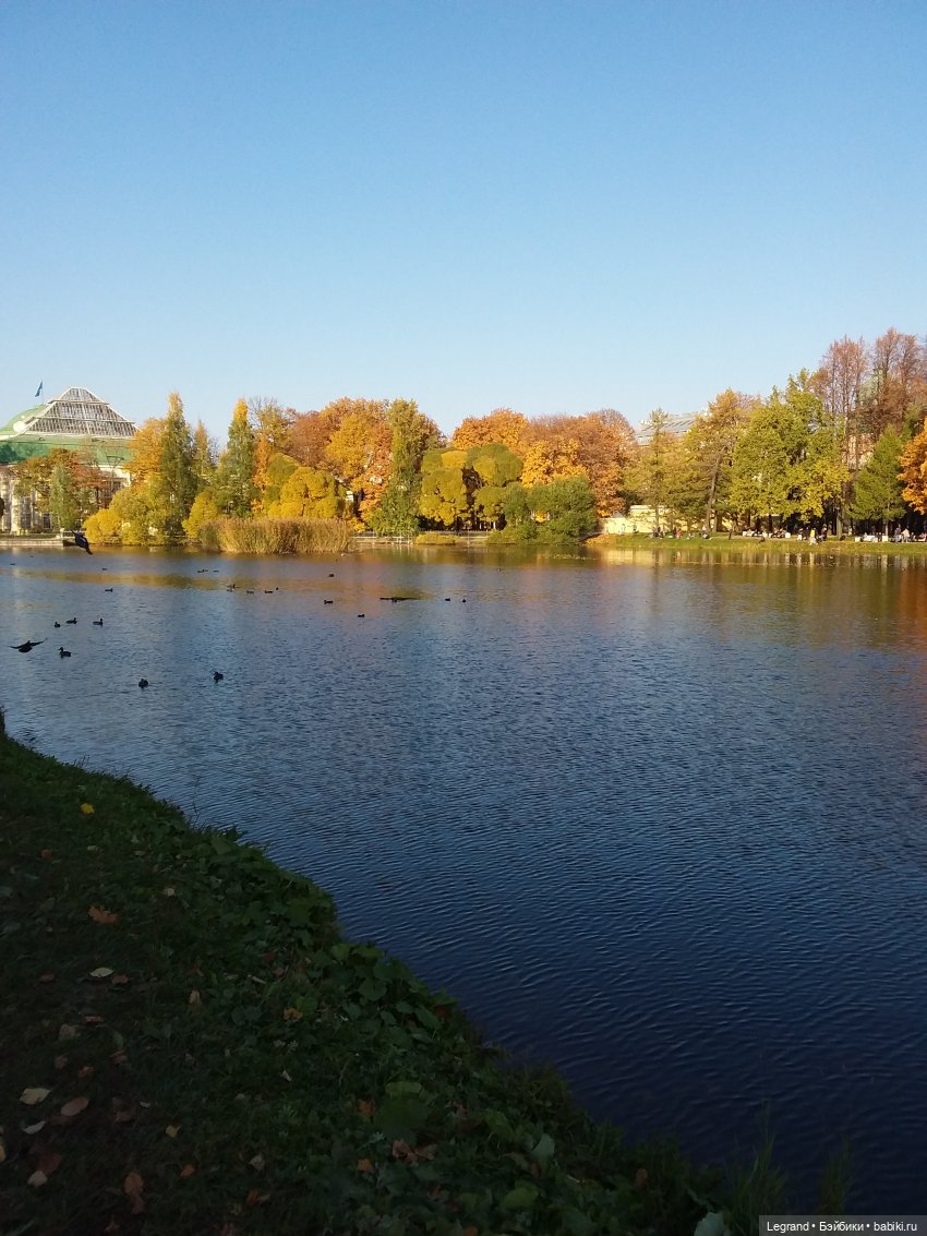 Золотая осень в Петербурге. Таврический сад
