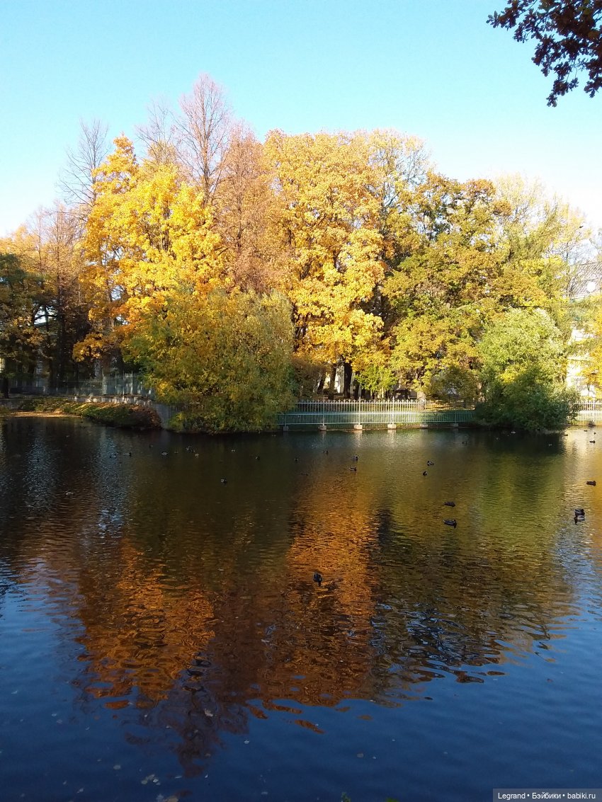 Золотая осень в Петербурге. Таврический сад