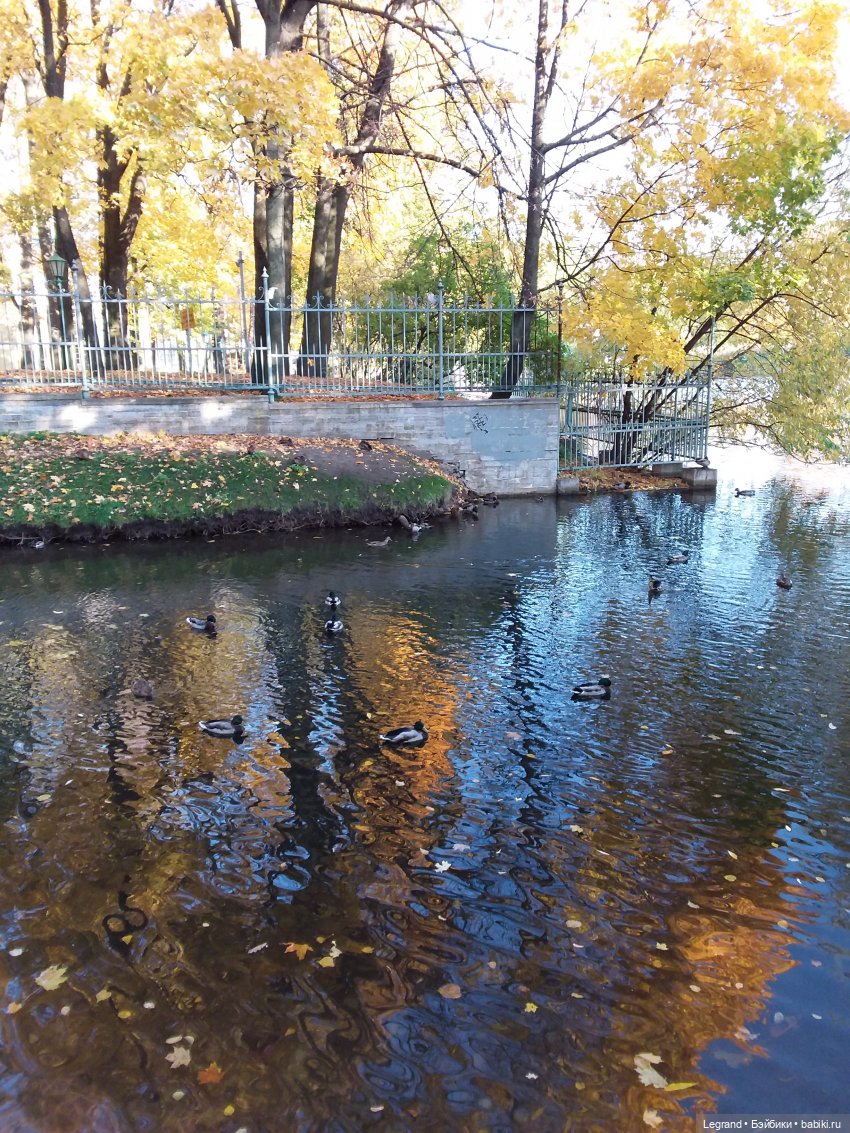 Золотая осень в Петербурге. Таврический сад