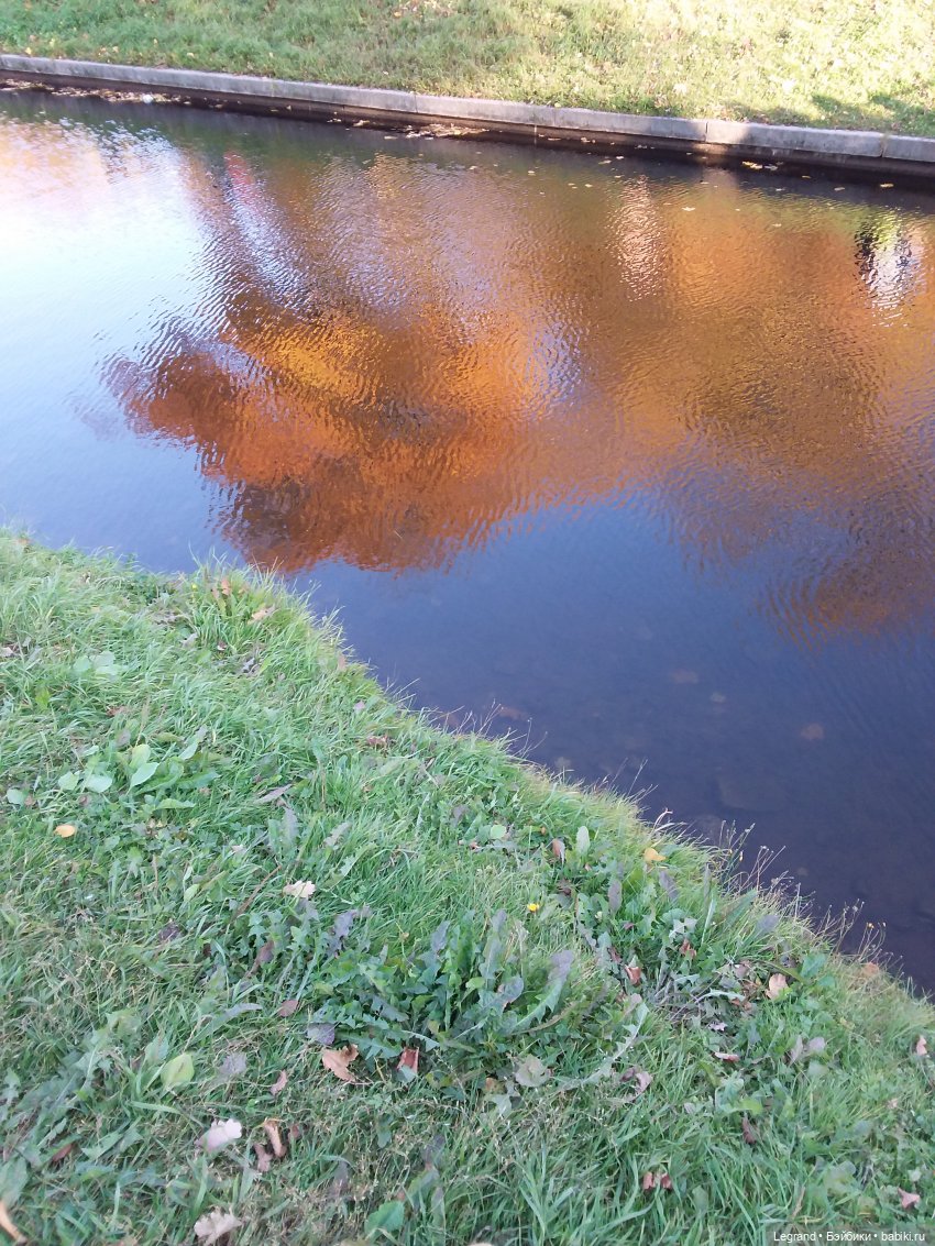 Золотая осень в Петербурге. Таврический сад