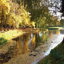 Золотая осень в Петербурге. Таврический сад