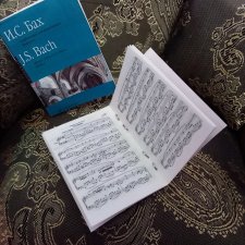 Ноты для Лестата: жизнь в формате 1:6