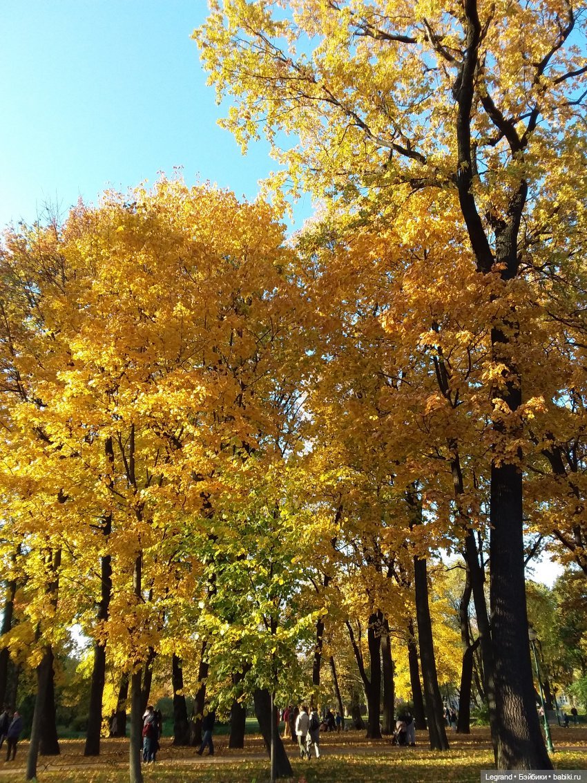 Прогулки по Петербургу с куклами и без