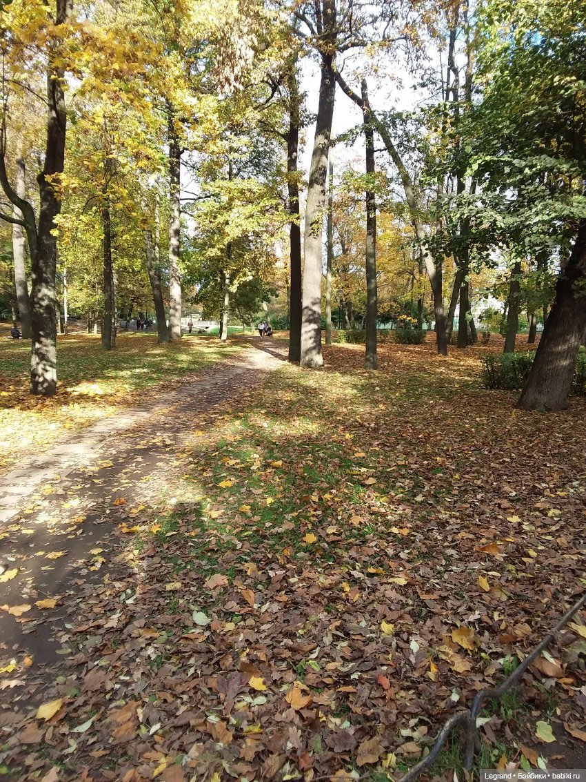 Прогулки по Петербургу с куклами и без