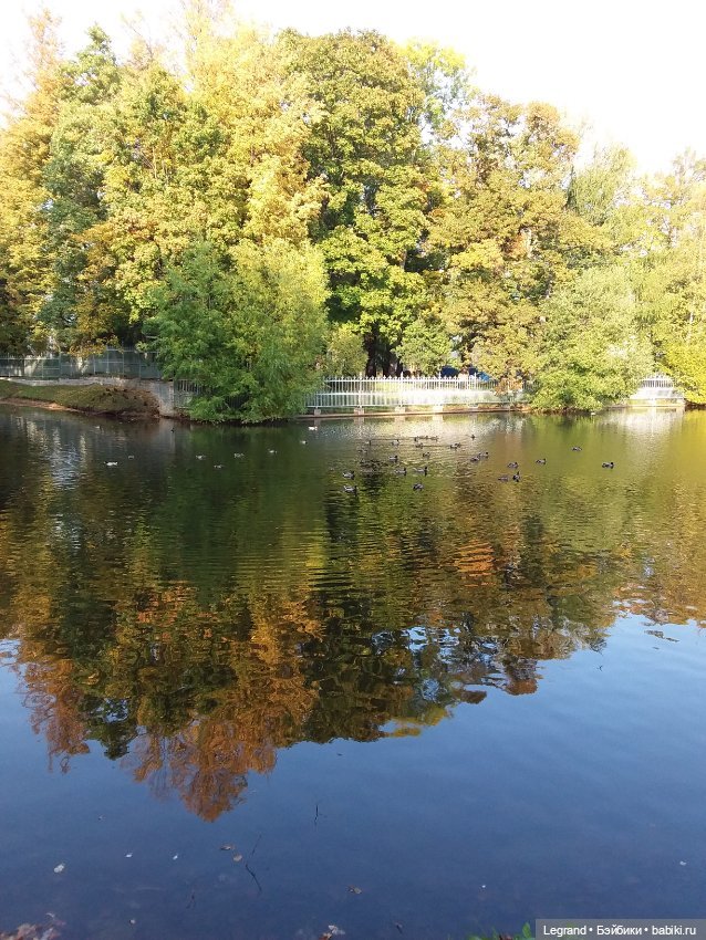 Прогулки по Петербургу с куклами и без (фото 10)