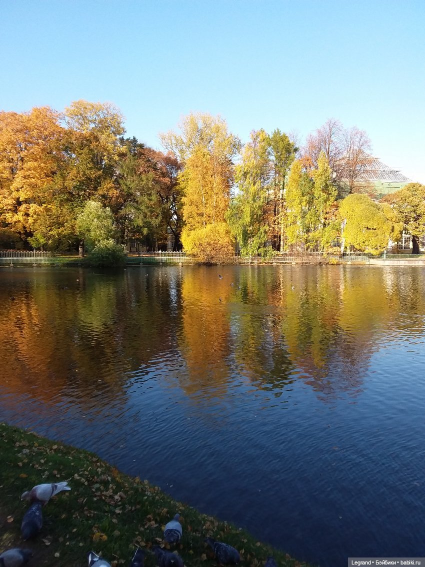 Прогулки по Петербургу с куклами и без