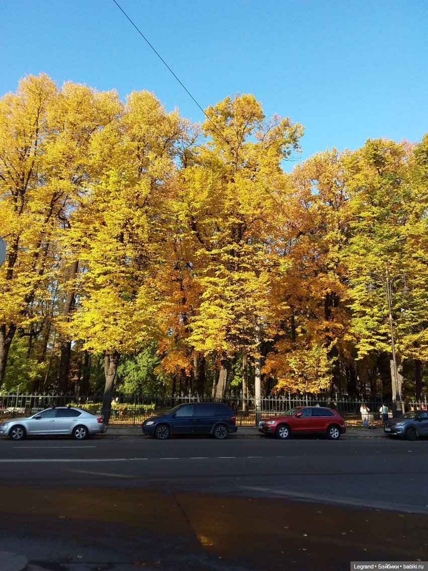 Прогулки по Петербургу с куклами и без