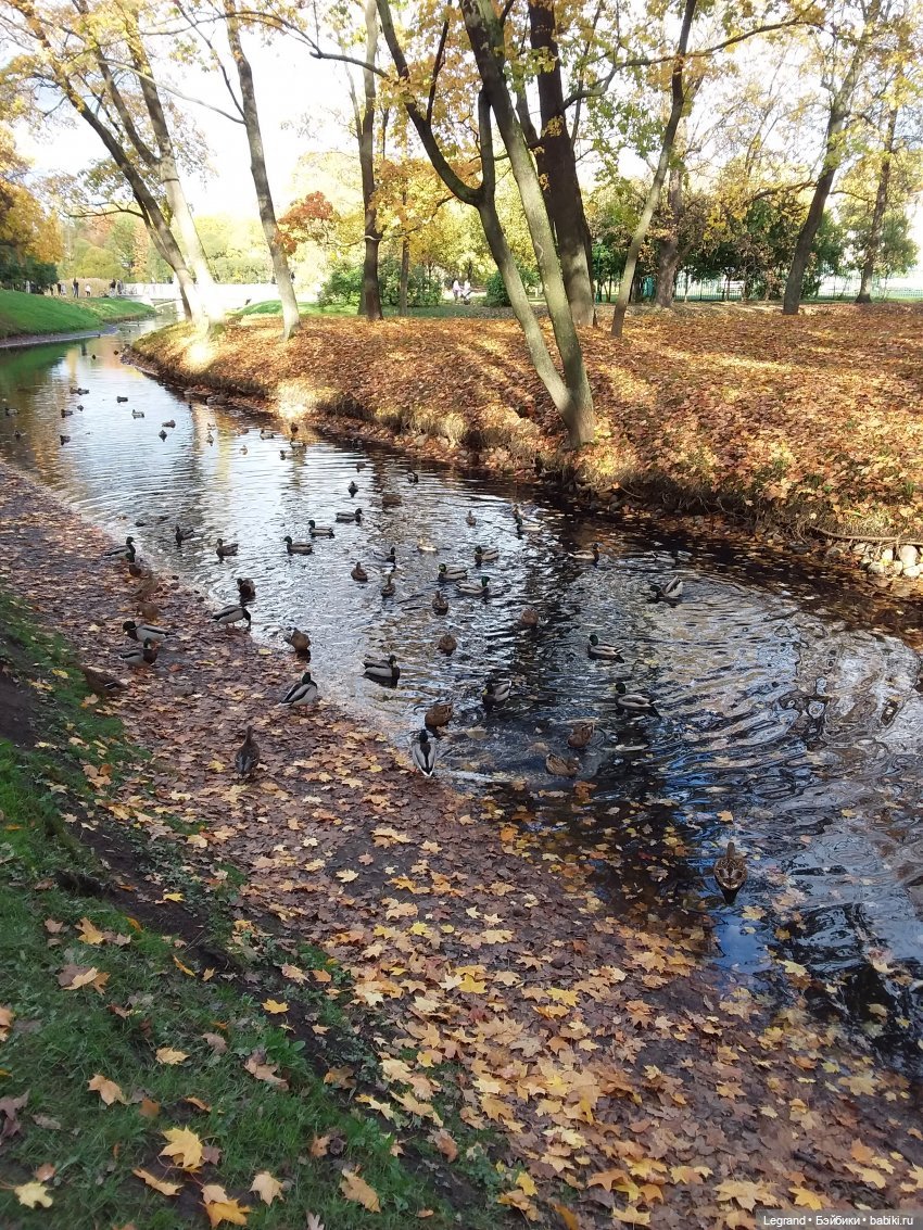 Прогулки по Петербургу с куклами и без