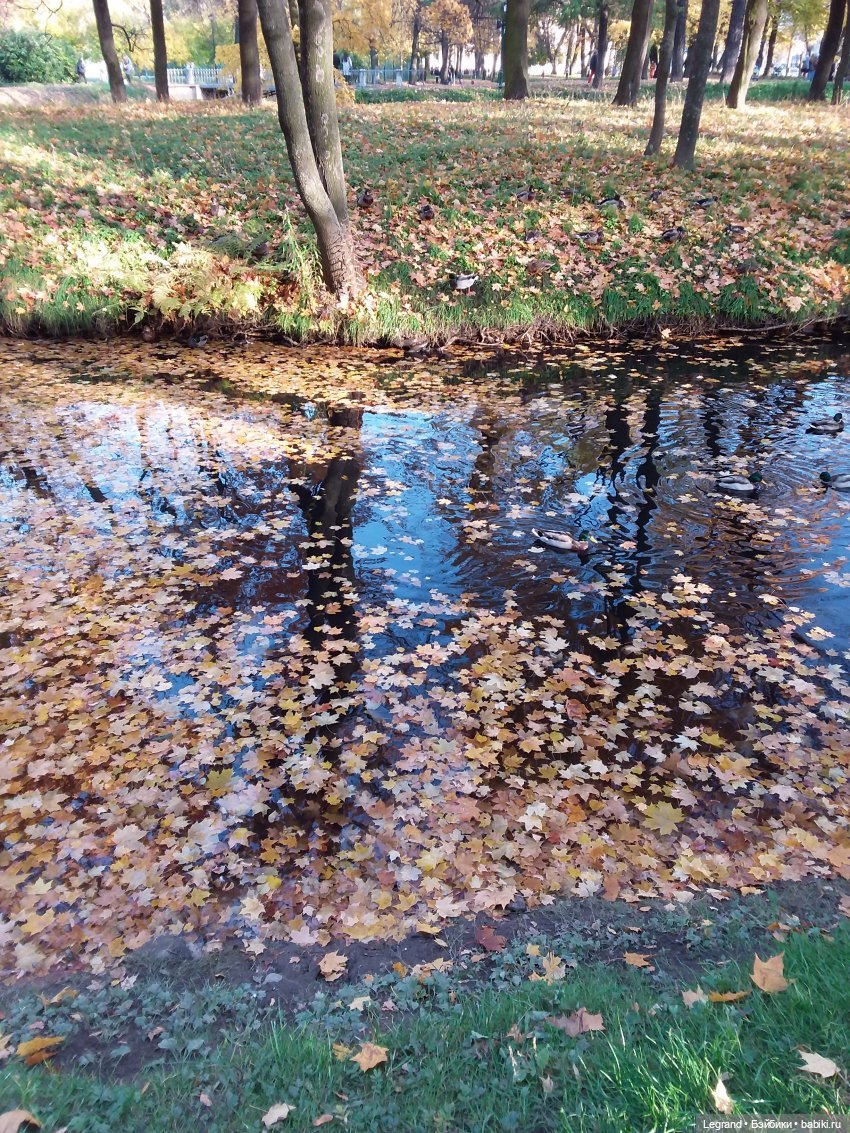Прогулки по Петербургу с куклами и без