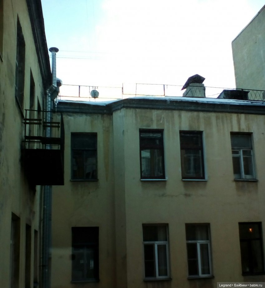 Елена Николаевна, большой Зай и несколько слов о Петербурге (фото 10)