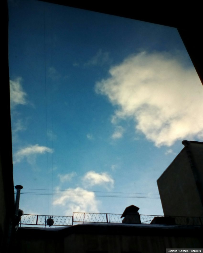 Елена Николаевна, большой Зай и несколько слов о Петербурге