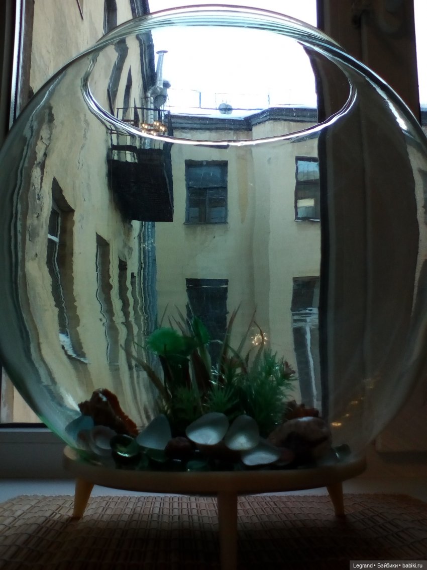 Елена Николаевна, большой Зай и несколько слов о Петербурге (фото 9)