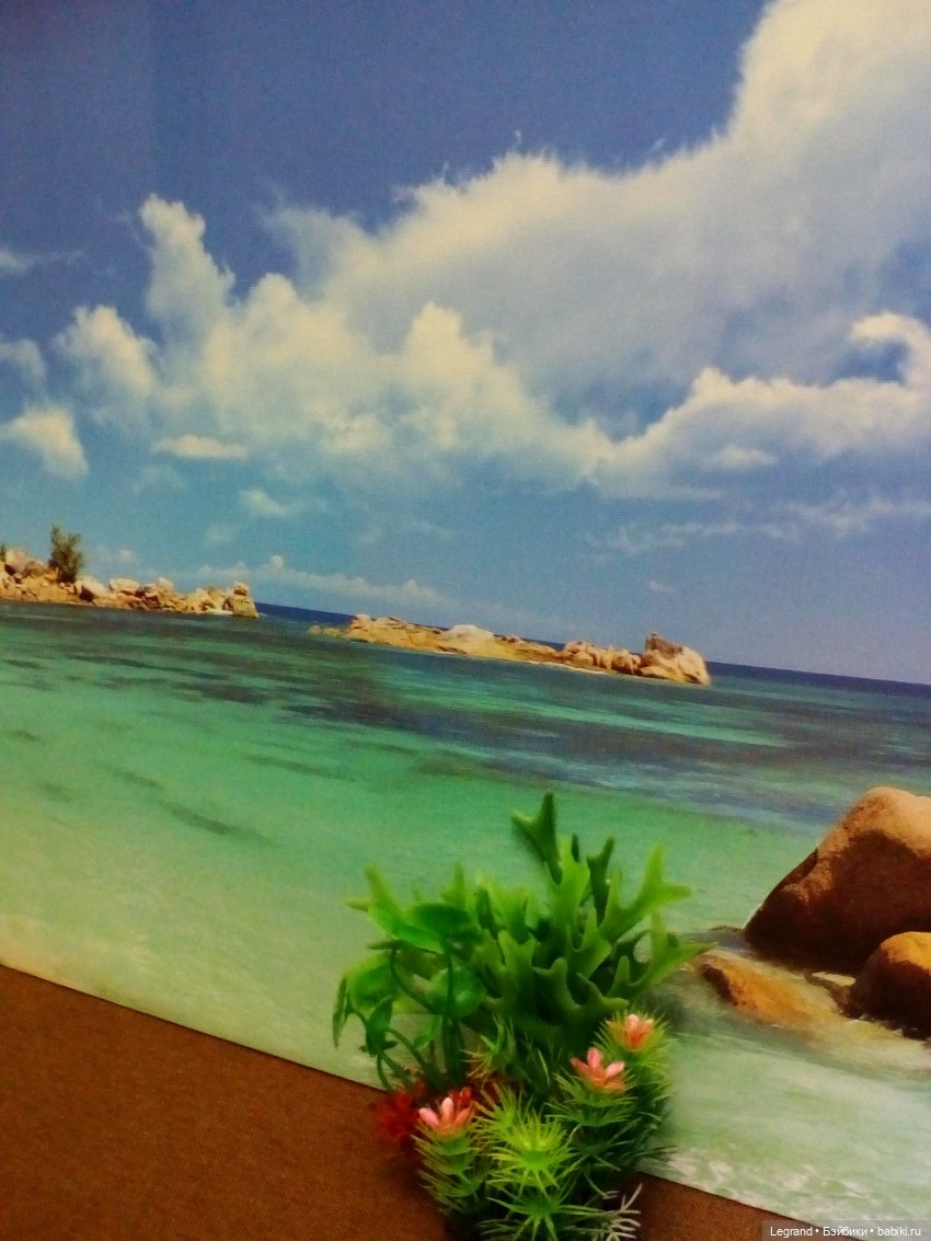 Тьерри и "машеньки" на побережье