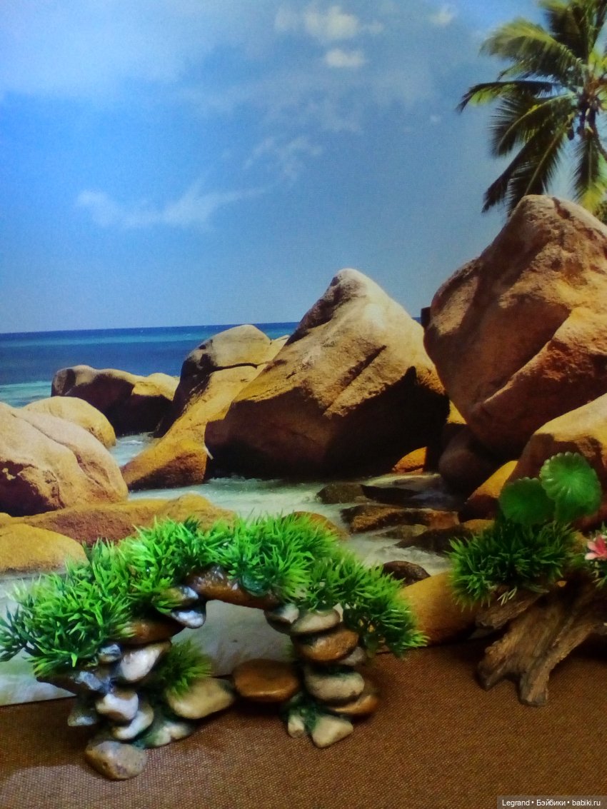 Тьерри и "машеньки" на побережье