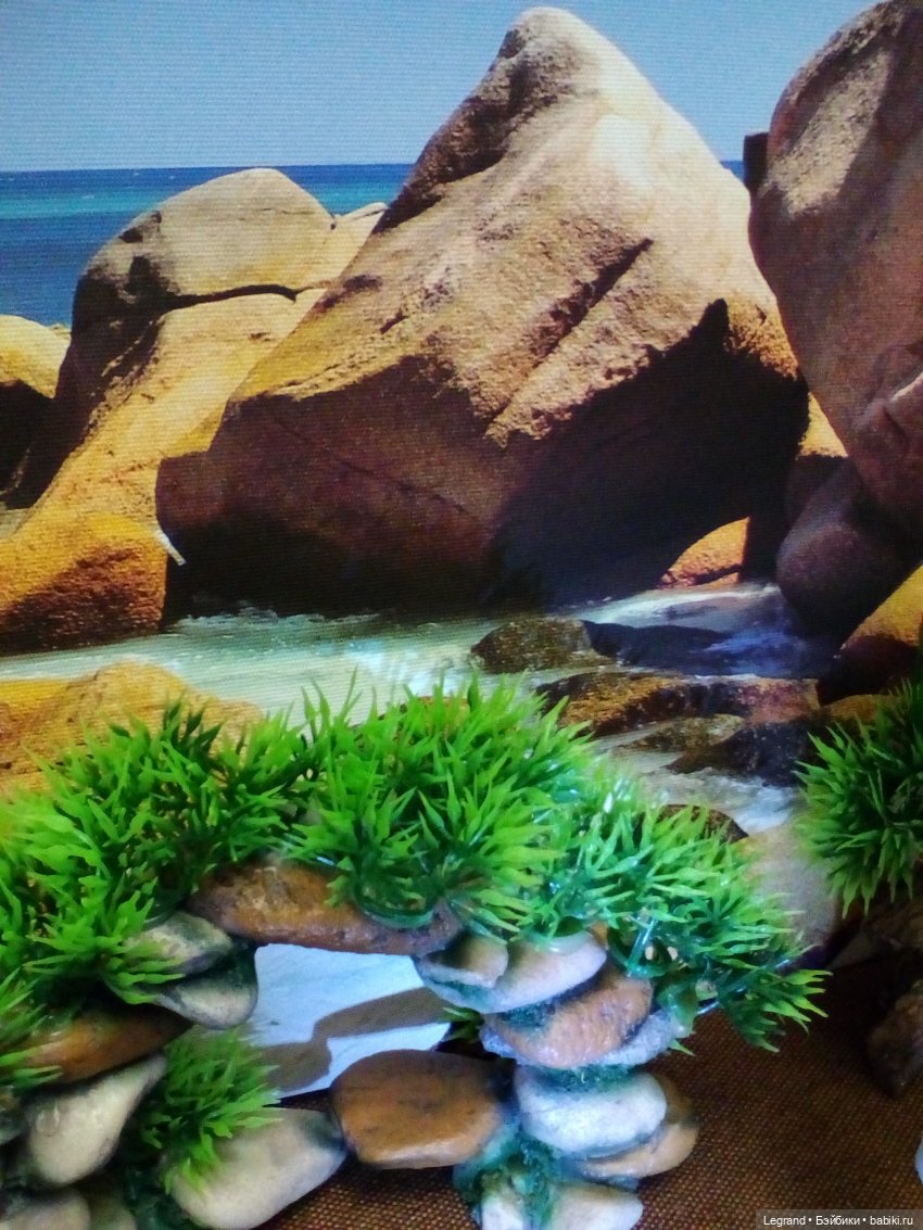 Мальчики на побережье. Парусник