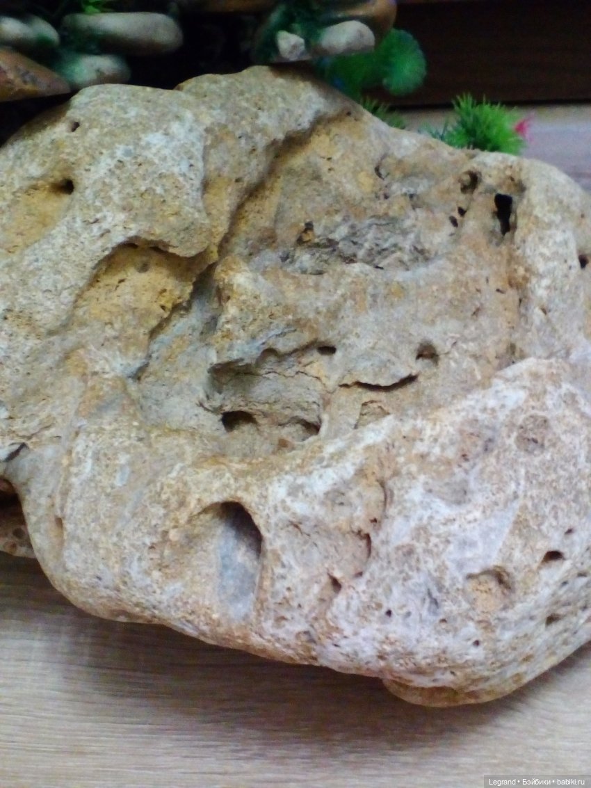 Автопрогулка по Лурении. Тьерри и Амбруаз (фото 9)