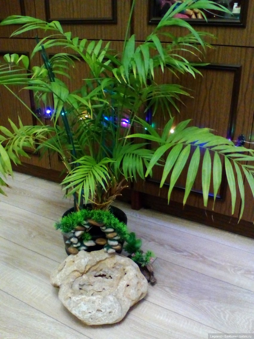 Автопрогулка по Лурении. Тьерри и Амбруаз