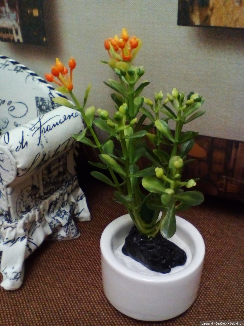 Сыновья Жерара (Finn от Arklu). Ужин