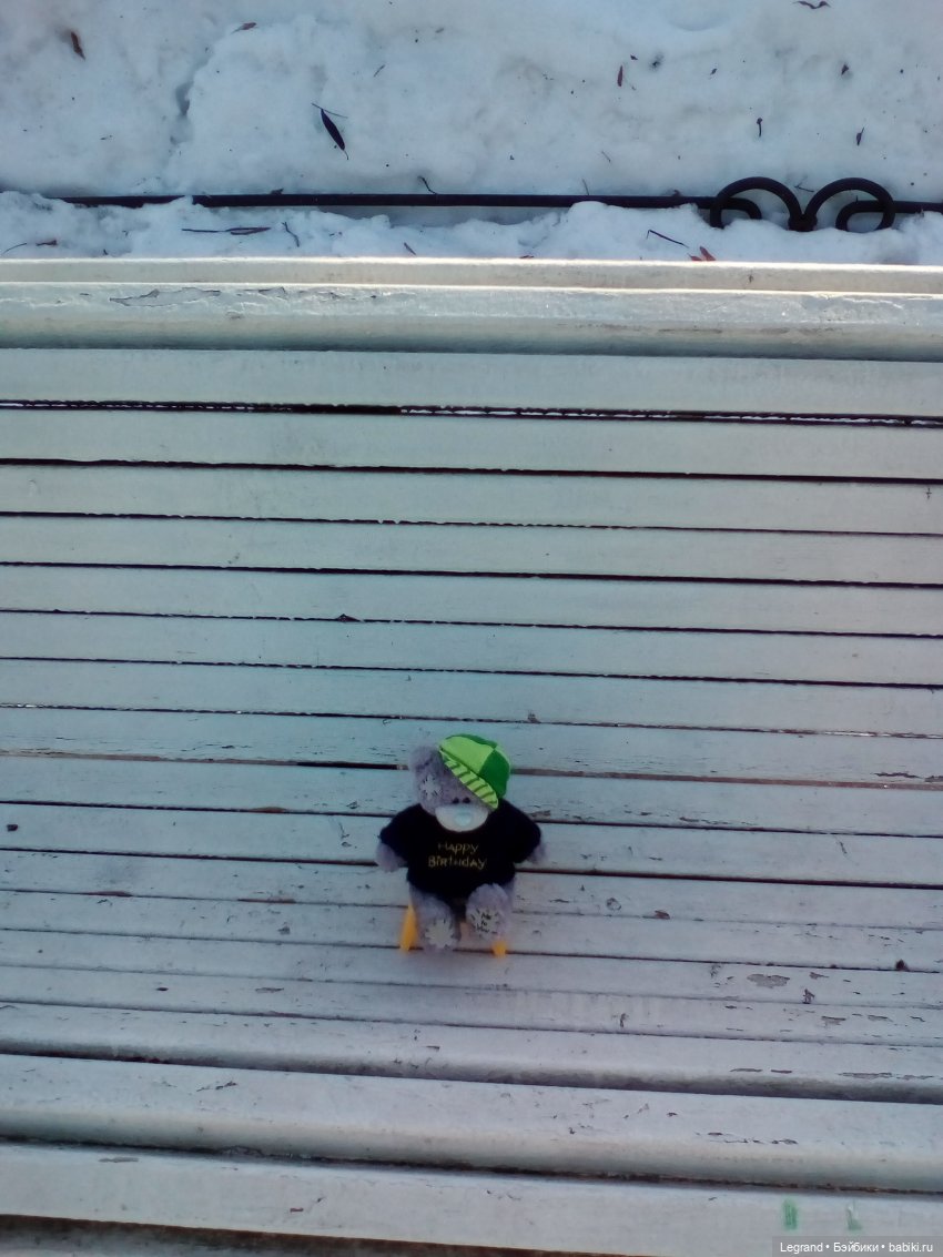 Петербург. Зимняя прогулка Гри в Таврическом саду