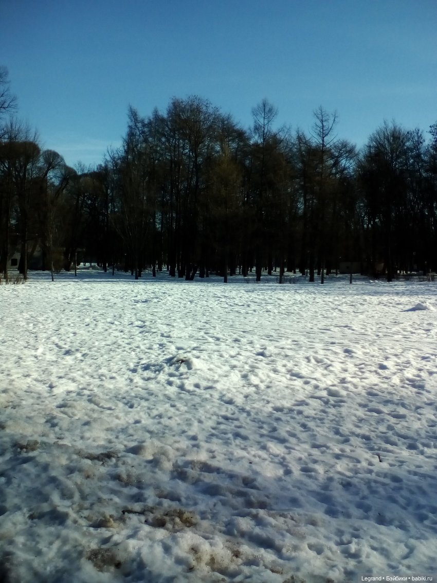 Петербург. Зимняя прогулка Гри в Таврическом саду