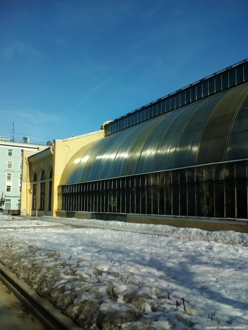 Петербург. Зимняя прогулка Гри в Таврическом саду (фото 7)