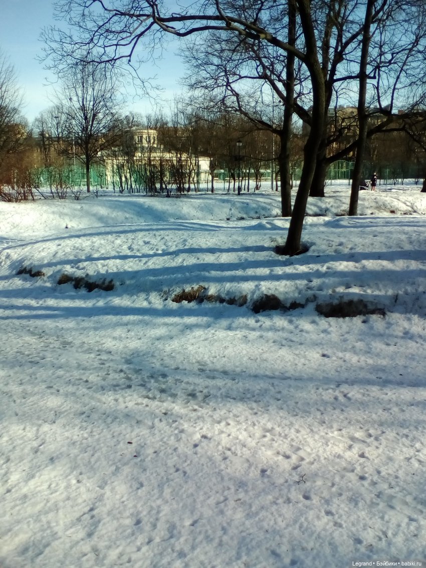 Петербург. Зимняя прогулка Гри в Таврическом саду