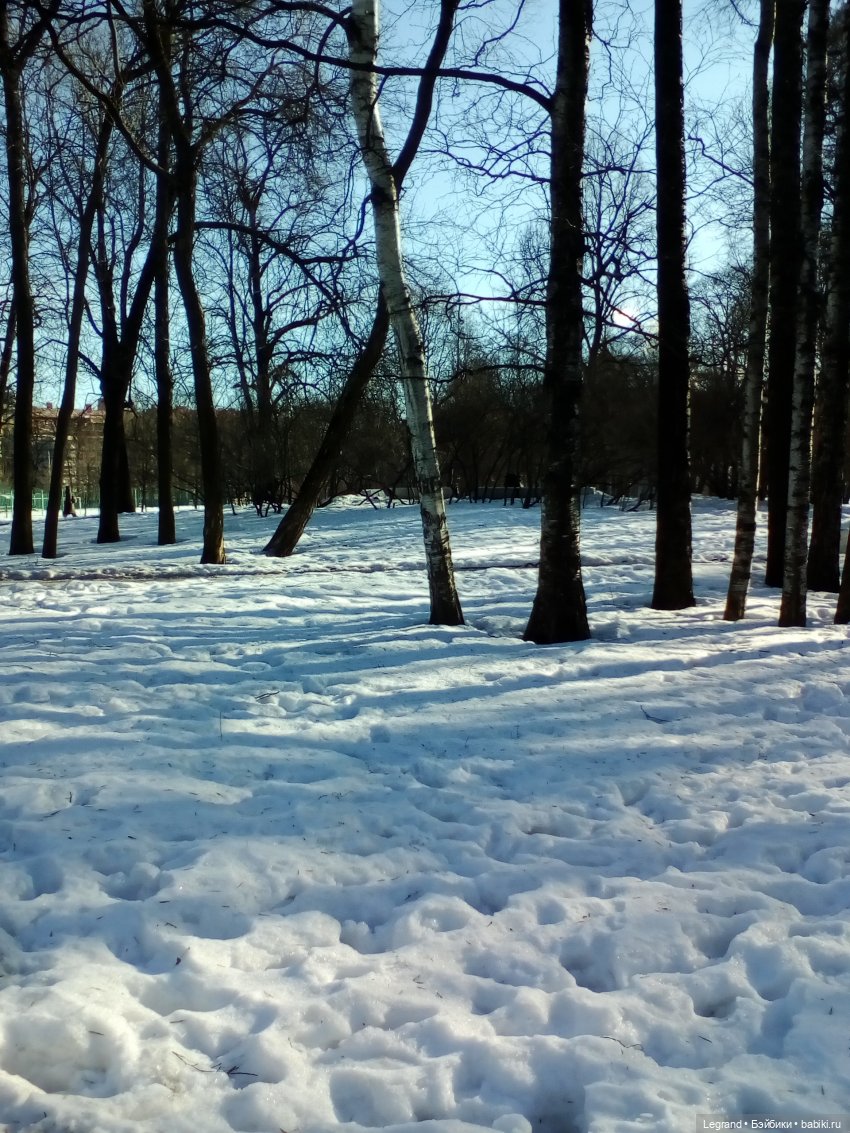 Петербург. Зимняя прогулка Гри в Таврическом саду