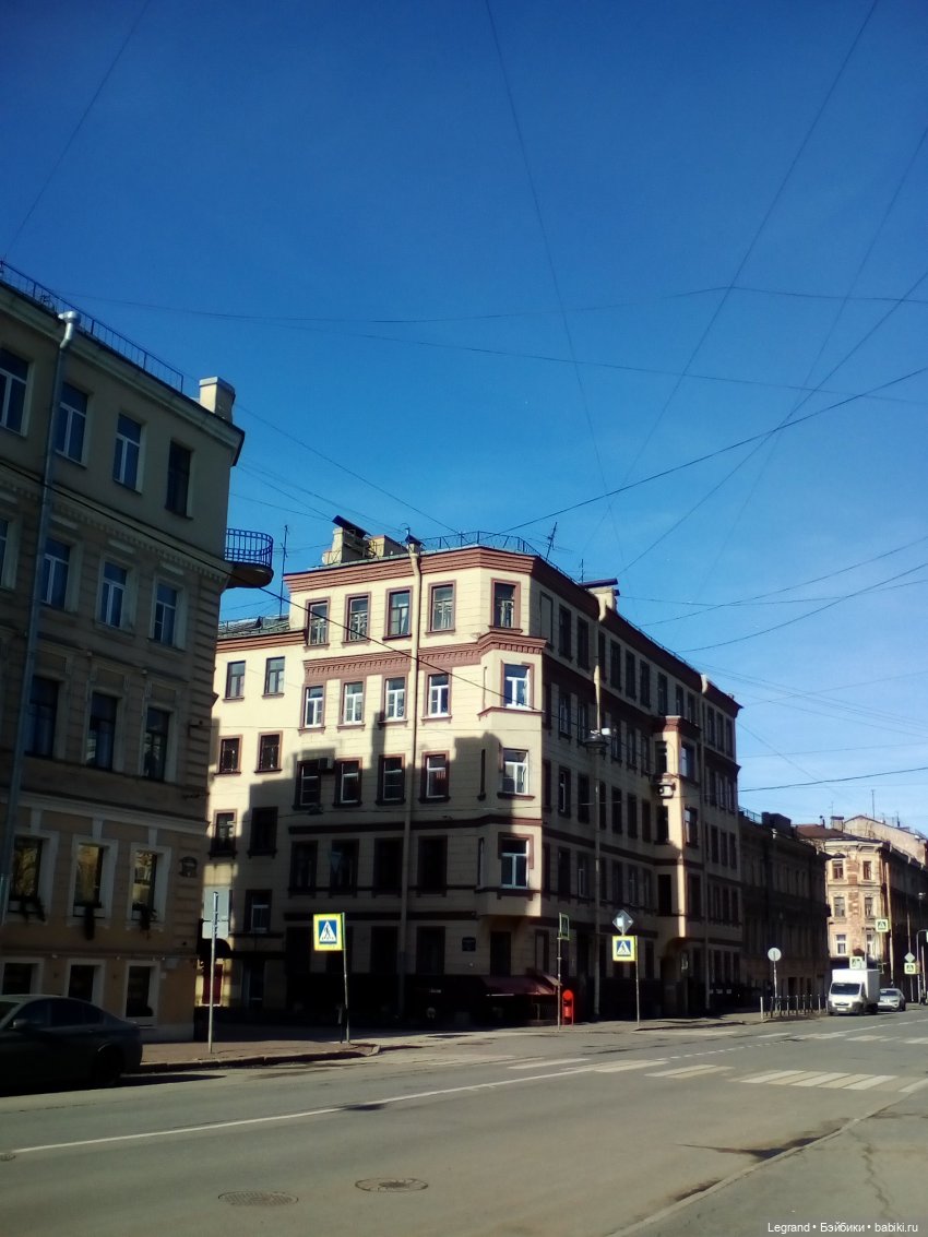 Петербург. Зимняя прогулка Гри в Таврическом саду (фото 4)