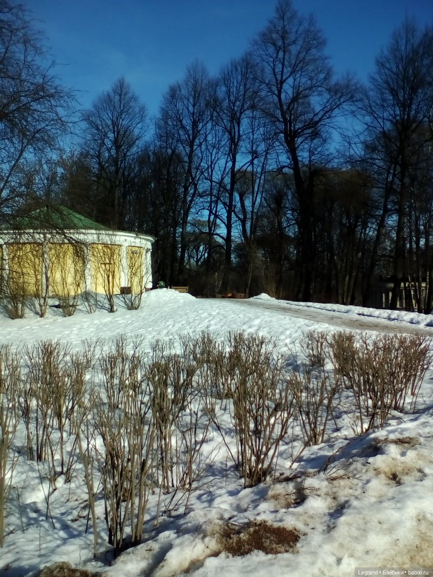 Петербург. Зимняя прогулка Гри в Таврическом саду