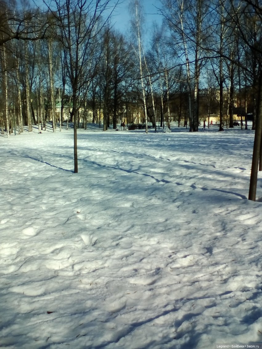 Петербург. Зимняя прогулка Гри в Таврическом саду