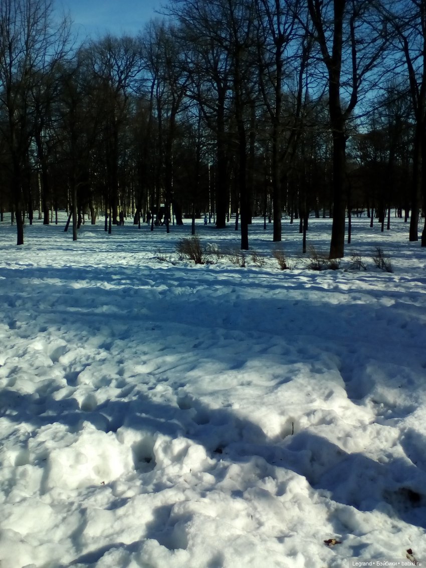 Петербург. Зимняя прогулка Гри в Таврическом саду
