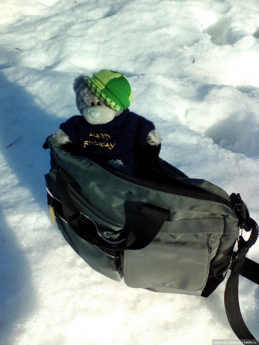 Петербург. Зимняя прогулка Гри в Таврическом саду