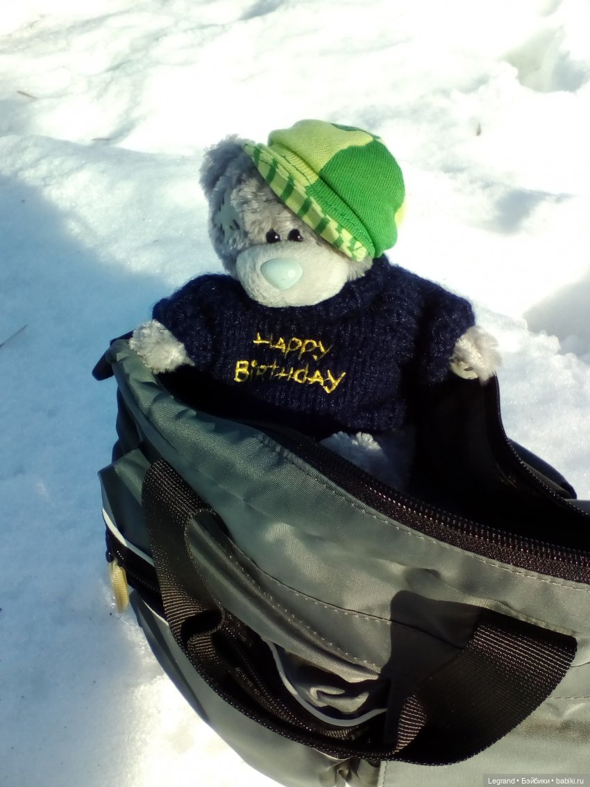 Петербург. Зимняя прогулка Гри в Таврическом саду