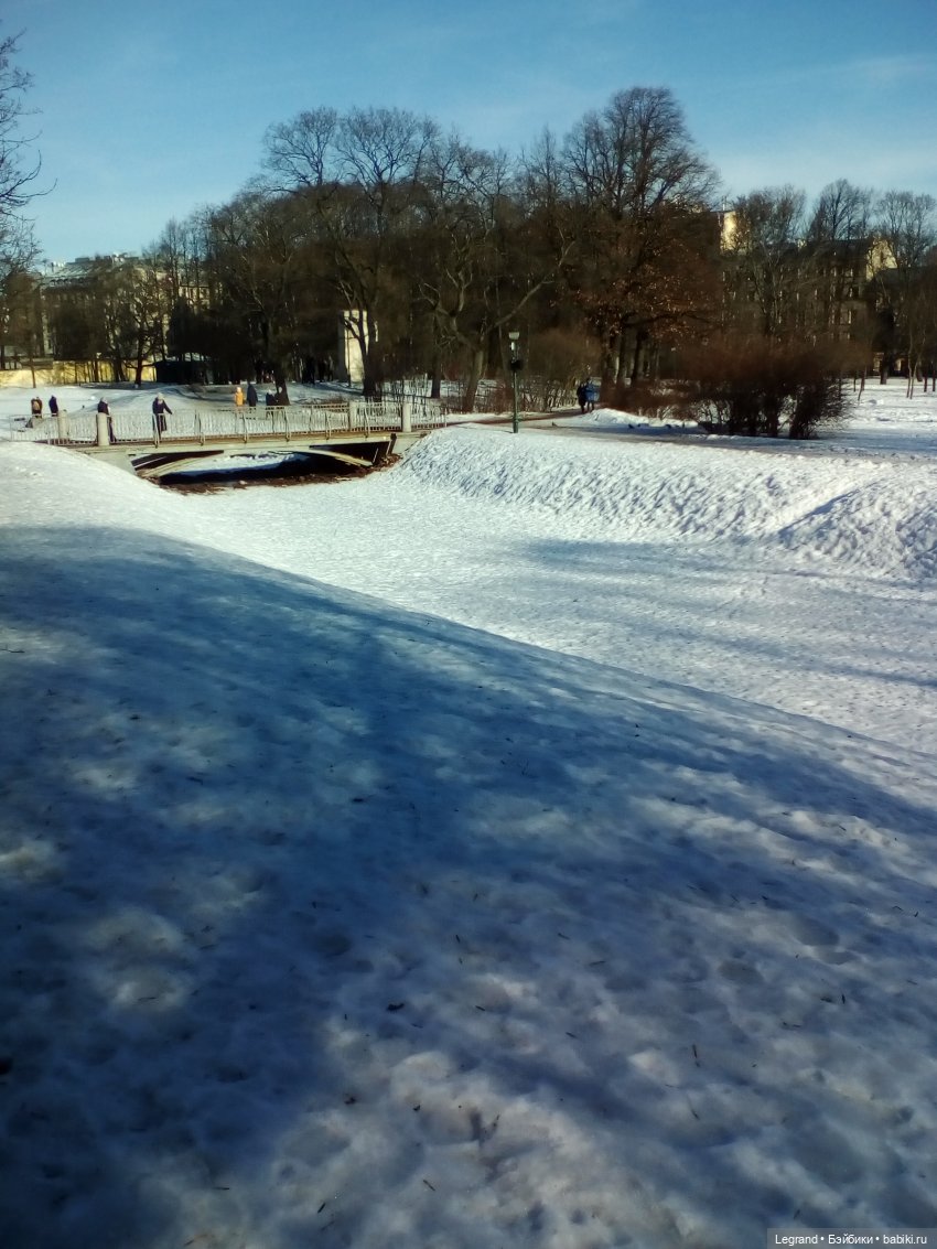Петербург. Зимняя прогулка Гри в Таврическом саду