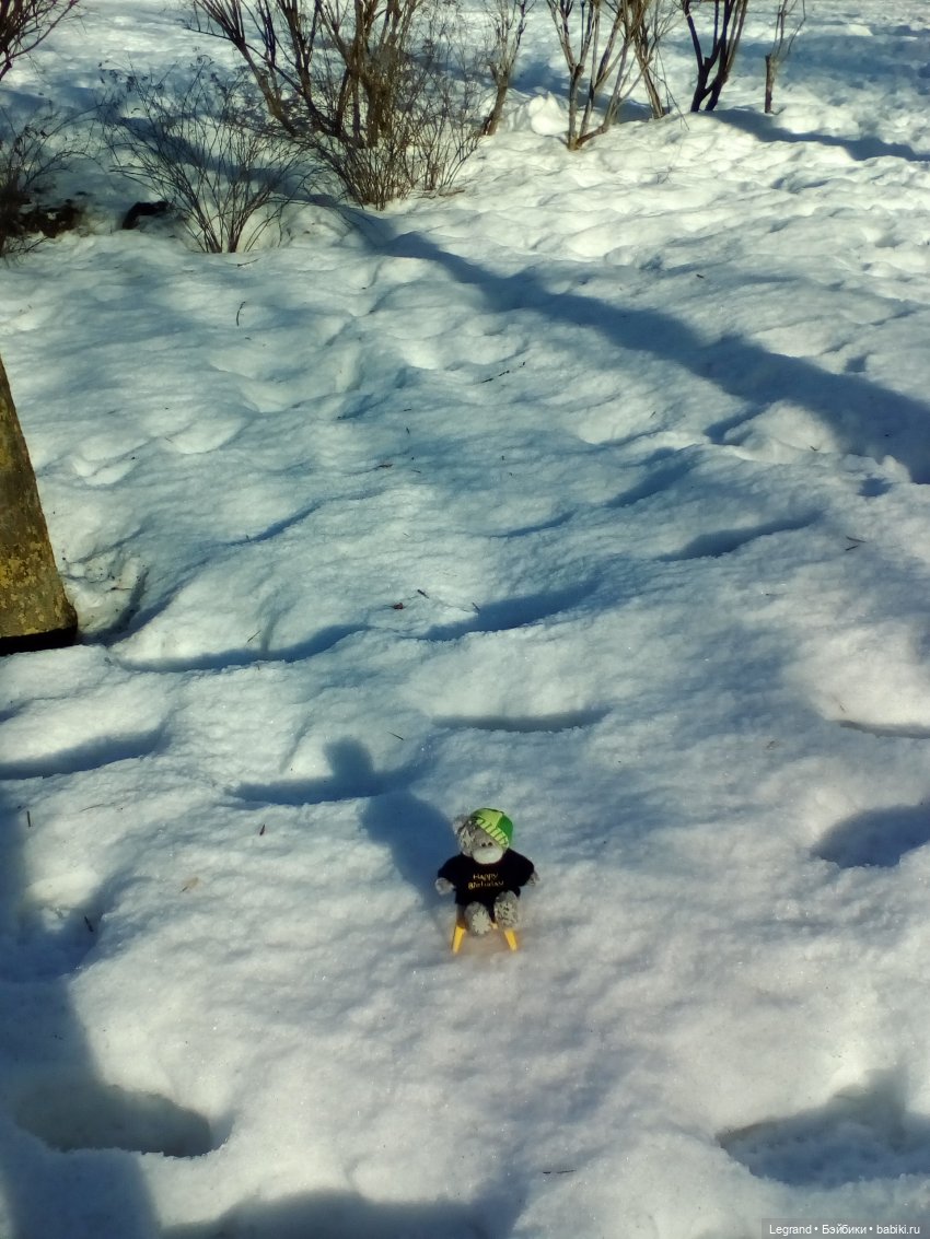 Петербург. Зимняя прогулка Гри в Таврическом саду