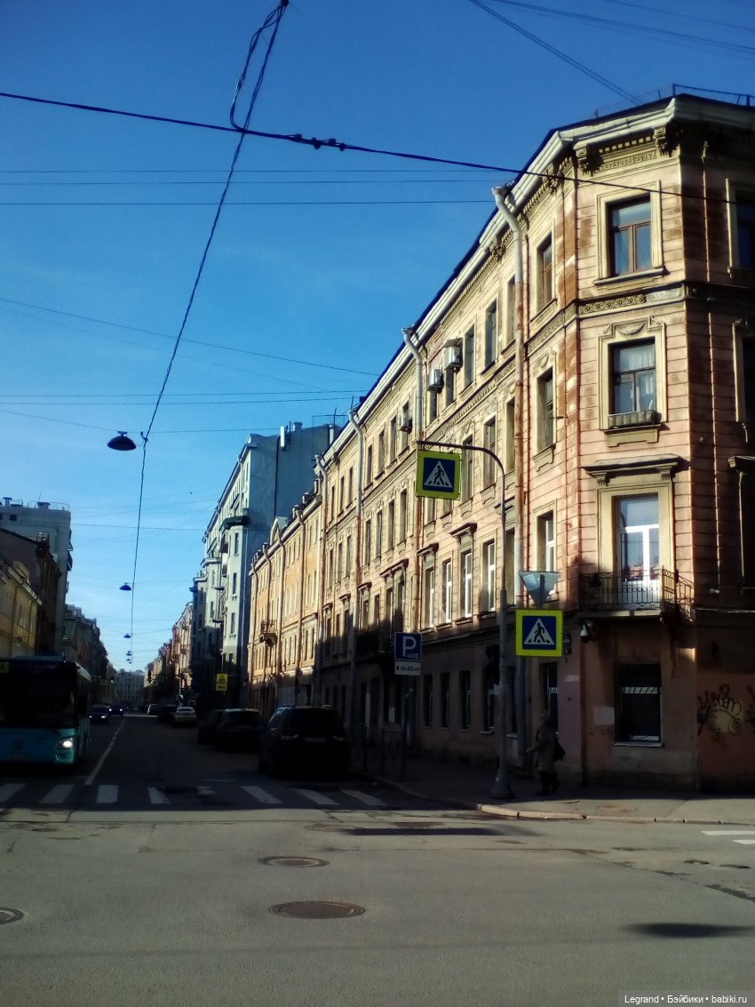 Петербург. Зимняя прогулка Гри в Таврическом саду (фото 5)