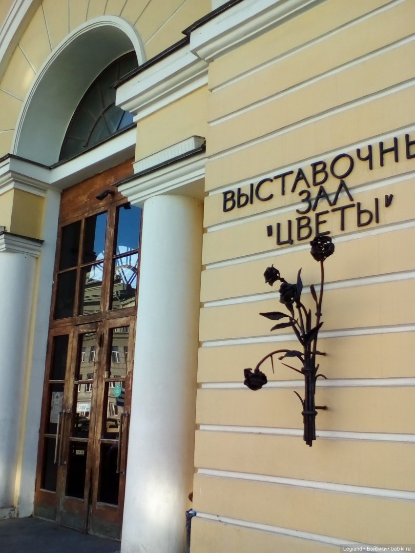 Петербург. Зимняя прогулка Гри в Таврическом саду (фото 8)