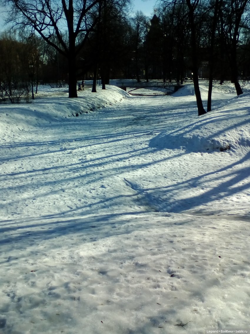 Петербург. Зимняя прогулка Гри в Таврическом саду