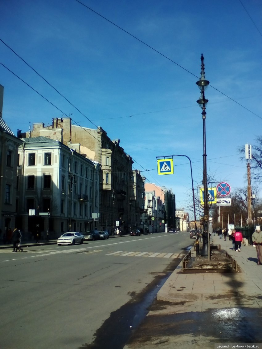 Петербург. Зимняя прогулка Гри в Таврическом саду (фото 6)