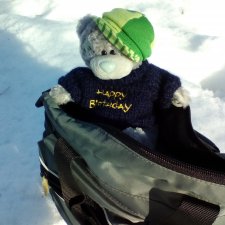 Петербург. Зимняя прогулка Гри в Таврическом саду