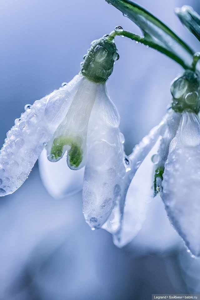 Что такое любовь?.. Стихи Лестата (фото 3)