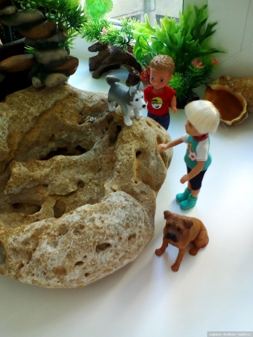 "Мелкие" мальчики: прогулка с собачками