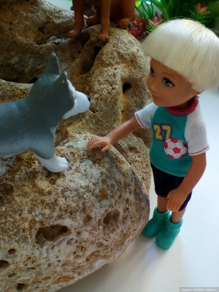 "Мелкие" мальчики: прогулка с собачками