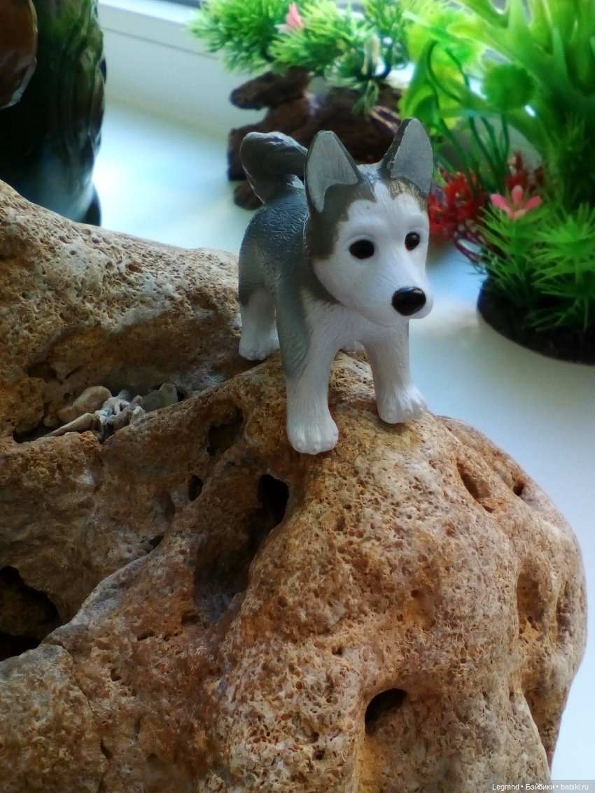 "Мелкие" мальчики: прогулка с собачками (фото 10)