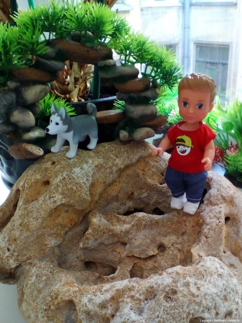 "Мелкие" мальчики: прогулка с собачками (фото 4)