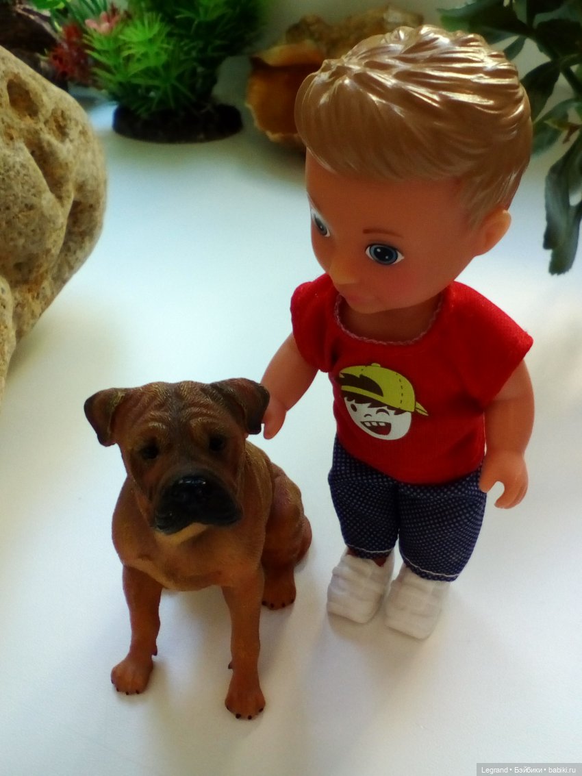 "Мелкие" мальчики: прогулка с собачками