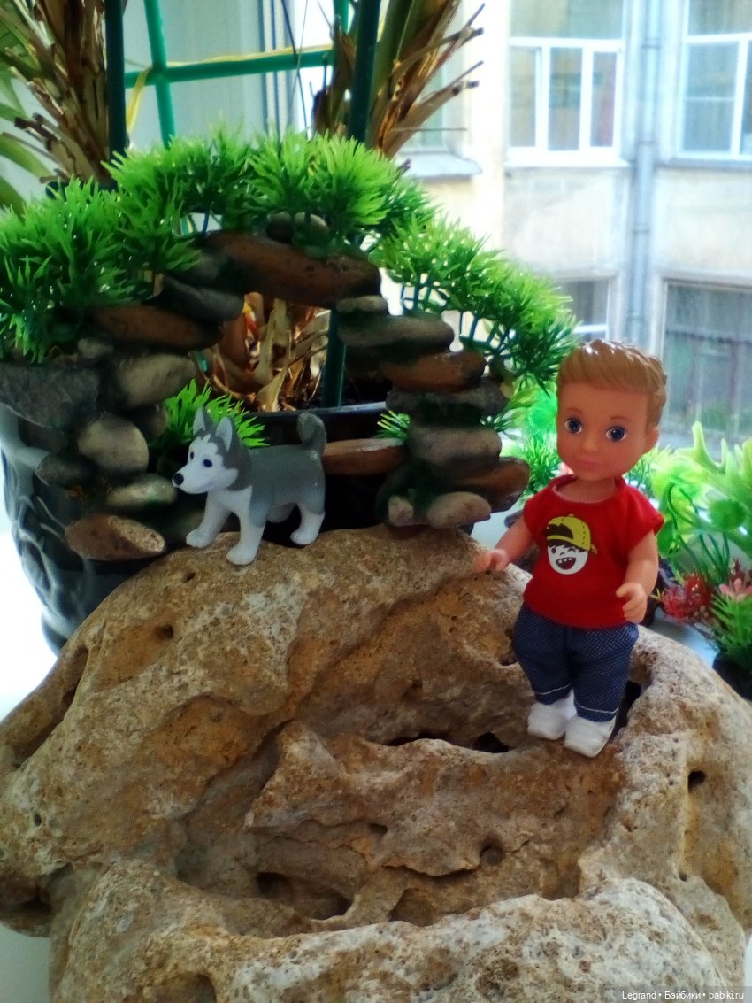 "Мелкие" мальчики: прогулка с собачками (фото 2)