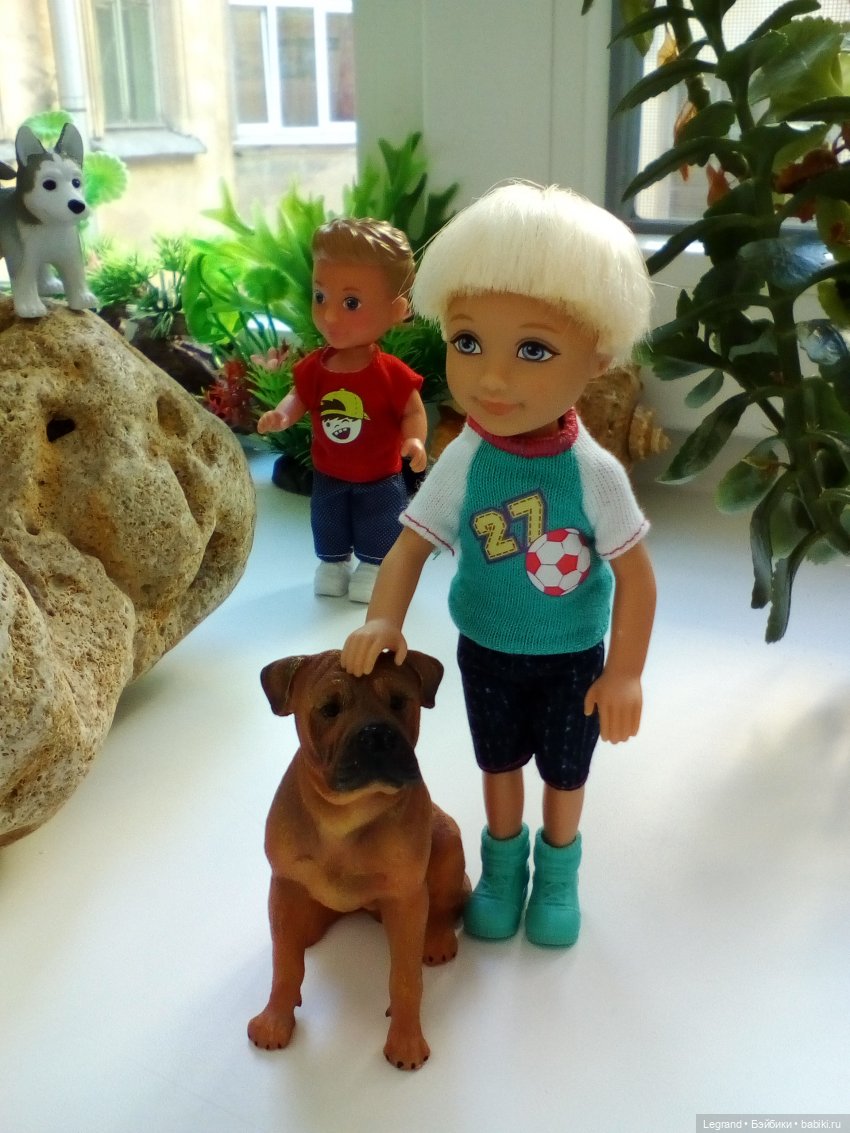 "Мелкие" мальчики: прогулка с собачками