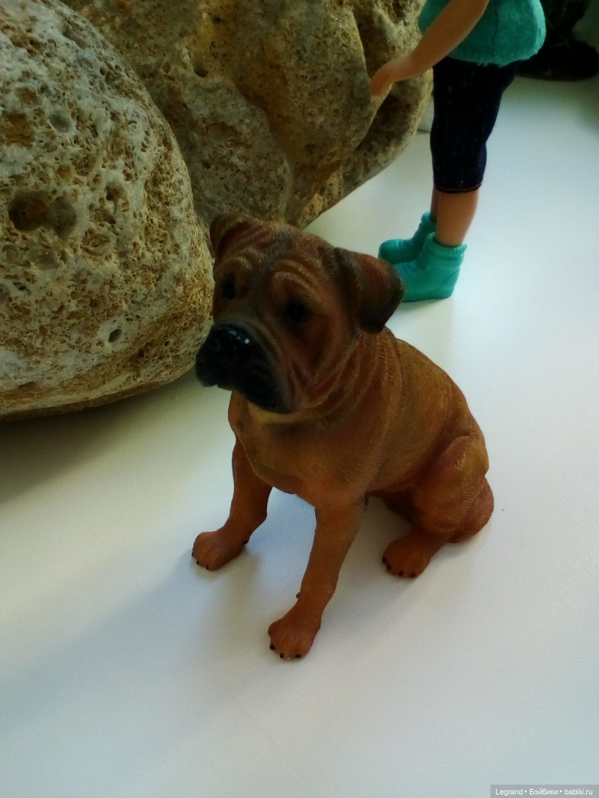 "Мелкие" мальчики: прогулка с собачками